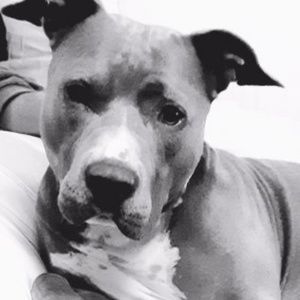 Meet your Posher, Richard